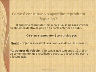 O  aparelho reprodutor feminino  situa-se na zona inferior do abdómen dentro da pelve e na parte anterior do púbis. O sistema reprodutor é constituído por: Ovário  -  Órgão responsável pela produção de células sexuais.; As trompas de Falópio  - São canais que tem entre 12 a 15cm de comprimento, que recolhem o ovócito, o local onde ocorre a fecundação. Como é constituído o aparelho reprodutor feminino?  Reprodução humana 