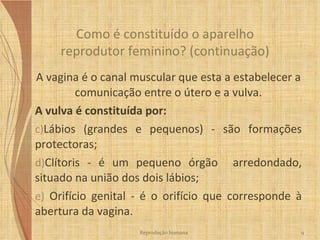 A vagina é o canal muscular que esta a estabelecer a comunicação entre o útero e a vulva. A vulva é constituída por: Lábios (grandes e pequenos) - são formações protectoras; Clítoris - é um pequeno órgão  arredondado, situado na união dos dois lábios; Orifício genital - é o orifício que corresponde à abertura da vagina.  Como é constituído o aparelho reprodutor feminino? (continuação) Reprodução humana 