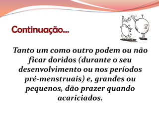 Tanto um como outro podem ou não
    ficar doridos (durante o seu
 desenvolvimento ou nos períodos
   pré-menstruais) e, grandes ou
   pequenos, dão prazer quando
            acariciados.
 
