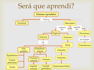 Será que aprendi?
                                Sistema reprodutor


             Feminino
                                         
                                        Pode ser

                                                                Masculino
                                                         composto         regulado
                                                           por               por

                                                    Órgãos                       Hormonas
                                     Internos                  Externos
                                                                                 por exemplo
                                       são
                                                                 Pénis          Testosterona
                Vias           Glândulas
                                                        Gónadas
               genitais         anexas

Epidídimos
                          Vesícula                      Testículos
 Canais                                 Próstata
                          seminal
deferentes
                          Líquido       Líquido      Espermatozóides
  Uretra
                          seminal      prostático
 