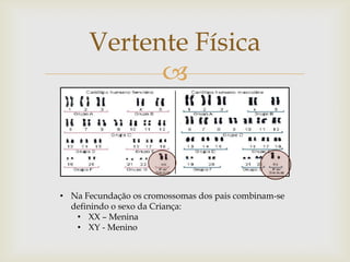 Vertente Física
            



• Na Fecundação os cromossomas dos pais combinam-se
  definindo o sexo da Criança:
   • XX – Menina
   • XY - Menino
 