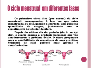 Os primeiros cinco dias (por norma) do ciclo
menstrual, correspondem à fase em que estás
menstruada, ou seja, quando é libertada uma pequena
quantidade de sangue, juntamente com o
revestimento do interior do útero.
Depois do ultimo dia do período (do 6º ao 13º
dia), o ovário começa a produzir hormonas que vão
amadurecerem o próximo óvulo. O útero prepara-se
para a possibilidade da ocorrência de uma gravidez,
tornando as suas paredes mais grossas e
vascularizadas.
 