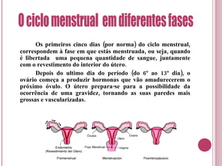 Os primeiros cinco dias (por norma) do ciclo menstrual, correspondem à fase em que estás menstruada, ou seja, quando é libertada  uma pequena quantidade de sangue, juntamente com o revestimento do interior do útero. Depois do ultimo dia do período (do 6º ao 13º dia), o ovário começa a produzir hormonas que vão amadurecerem o próximo óvulo. O útero prepara-se para a possibilidade da ocorrência de uma gravidez, tornando as suas paredes mais grossas e vascularizadas. O ciclo menstrual  em diferentes fases 