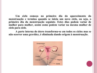 Um ciclo começa no primeiro dia do aparecimento da menstruação e termina quando se inicia um novo ciclo, ou seja, o primeiro dia da menstruação seguinte. Estes dias podem variar de mulher para mulher, assim como podem variar na mesma mulher de ciclo para ciclo. A parte interna do útero transforma-se em todos os ciclos mas se não ocorrer uma gravidez, é eliminada dando origem à menstruação. 