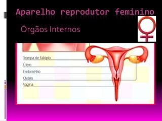 Aparelho reprodutor femininoÓrgãos Internos