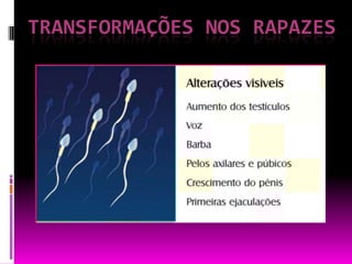 TRANSFORMAÇÕES NOS RAPAZES