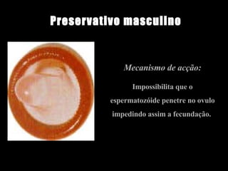 Mecanismo de acção: Impossibilita que o espermatozóide penetre no ovulo impedindo assim a fecundação.  Preservativo masculino 
