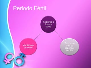 Período Fértil
Factores a
ter em
conta
Viabilidade
do óvulo
Tempo de
vida do
esperma-
tozoide
 