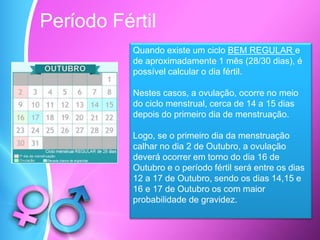 Período Fértil
Quando existe um ciclo BEM REGULAR e
de aproximadamente 1 mês (28/30 dias), é
possível calcular o dia fértil.
Nestes casos, a ovulação, ocorre no meio
do ciclo menstrual, cerca de 14 a 15 dias
depois do primeiro dia de menstruação.
Logo, se o primeiro dia da menstruação
calhar no dia 2 de Outubro, a ovulação
deverá ocorrer em torno do dia 16 de
Outubro e o período fértil será entre os dias
12 a 17 de Outubro, sendo os dias 14,15 e
16 e 17 de Outubro os com maior
probabilidade de gravidez.
 