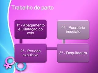 Trabalho de parto
1º - Apagamento
e Dilatação do
colo
2º - Período
expulsivo
3º - Dequitadura
4º - Puerpério
imediato
 