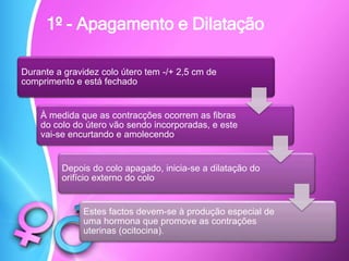 1º - Apagamento e Dilatação
Durante a gravidez colo útero tem -/+ 2,5 cm de
comprimento e está fechado
À medida que as contracções ocorrem as fibras
do colo do útero vão sendo incorporadas, e este
vai-se encurtando e amolecendo
Depois do colo apagado, inicia-se a dilatação do
orifício externo do colo
Estes factos devem-se à produção especial de
uma hormona que promove as contrações
uterinas (ocitocina).
 