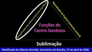 25 
Funções do 
Centro Genésico 
Sublimação 
Modificado de Alberto Almeida. Seminário em Brasília, 27 de abril de 2008. 
 