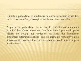 • Durante a puberdade, as mudanças no corpo se tornam evidentes,
e com isto questões psicológicas também estão envolvidas;
• A partir da puberdade, os níveis de testosterona aumentam
principal hormônio masculino. Este hormônio é produzido pelas
células de Leydig nos testículos por ação dos hormônios
hipofisário luteinizantes (LH), que é o hormônio responsável pelo
aparecimento dos caracteres sexuais secundários do macho e pelo
apetite sexual.
 