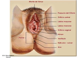 I.E.S. Otero Pedrayo.
Ourense
 