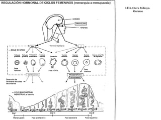 I.E.S. Otero Pedrayo.
Ourense
 