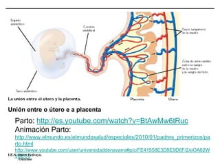 Unión entre o útero e a placenta
Parto: http://es.youtube.com/watch?v=BtAwMw6tRuc
Animación Parto:
http://www.elmundo.es/elmundosalud/especiales/2010/01/padres_primerizos/pa
rto.html
http://www.youtube.com/user/universidaddenavarra#p/c/FE41558E3D8E9D6F/2/eOA62W
5BECoI.E.S. Otero Pedrayo.
Ourense
 