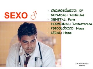 SEXO ♂
• CROMOSÓMICO: XY
• GONADAL: Testículos
• XENITAL: Pene
• HORMONAL: Testosterona
• PSICOLÓXICO: Home
• LEGAL: Home
I.E.S. Otero Pedrayo.
Ourense
 