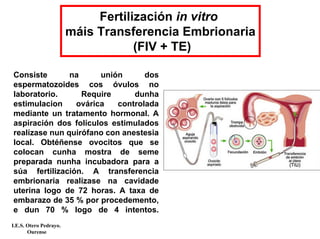 Fertilización in vitro
máis Transferencia Embrionaria
(FIV + TE)
Consiste na unión dos
espermatozoides cos óvulos no
laboratorio. Require dunha
estimulacion ovárica controlada
mediante un tratamento hormonal. A
aspiración dos folículos estimulados
realízase nun quirófano con anestesia
local. Obtéñense ovocitos que se
colocan cunha mostra de seme
preparada nunha incubadora para a
súa fertilización. A transferencia
embrionaria realízase na cavidade
uterina logo de 72 horas. A taxa de
embarazo de 35 % por procedemento,
e dun 70 % logo de 4 intentos.
I.E.S. Otero Pedrayo.
Ourense
 