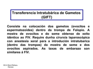 Transferencia Intratubárica de Gametos
(GIFT)
Consiste na colocación dos gametos (ovocitos e
espermatozoides) dentro da trompa de Falopio. A
mostra de ovocitos e do seme obtense de xeito
idéntico ao FIV. Require dunha cirurxía laparoscópica
con anestesia xeral para a introdución intratubarica
(dentro das trompas) da mostra de seme e dos
ovocitos aspirados. As taxas de embarazo son
similares á FIV.
I.E.S. Otero Pedrayo.
Ourense
 