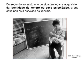 Do segundo ao sexto ano de vida ten lugar a adquisición
da identidade de xénero ou sexo psicolóxico, a súa
orixe non está asociado ós xenitais.
I.E.S. Otero Pedrayo.
Ourense
 