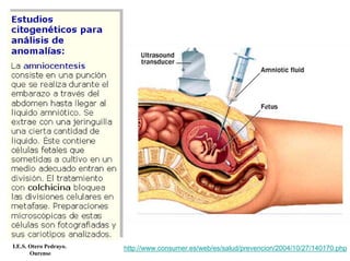 I.E.S. Otero Pedrayo.
Ourense
http://www.consumer.es/web/es/salud/prevencion/2004/10/27/140170.php
 