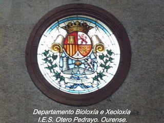 Departamento Bioloxía e Xeoloxía
I.E.S. Otero Pedrayo. Ourense.
 