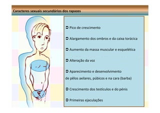 Caracteres sexuais secundários dos rapazes

Pico de crescimento
Alargamento dos ombros e da caixa torácica
Aumento da massa muscular e esquelética
Alteração da voz
Aparecimento e desenvolvimento
de pêlos axilares, púbicos e na cara (barba)
Crescimento dos testículos e do pénis
Primeiras ejaculações

 