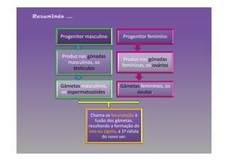Resumindo …

Progenitor masculino

Progenitor feminino

Produz nas gónadas
masculinas, os
testículos

Produz nas gónadas
femininas, os ovários

Gâmetas masculinos,
os espermatozóides.

Gâmetas femininos, os
óvulos.

Chama-se fecundação à
fusão dos gâmetas,
resultando a formação do
ovo ou zigoto, a 1ª célula
do novo ser.

 