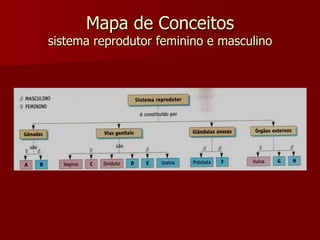 Mapa de Conceitossistema reprodutor feminino e masculino