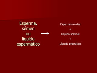 Esperma, sémen ou líquido espermáticoEspermatozóides+Líquido seminal+Líquido prostático