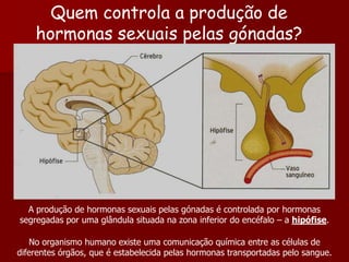 Quem controla a produção de hormonas sexuais pelas gónadas?A produção de hormonas sexuais pelas gónadas é controlada por hormonas segregadas por uma glândula situada na zona inferior do encéfalo – a hipófise.No organismo humano existe uma comunicação química entre as células de diferentes órgãos, que é estabelecida pelas hormonas transportadas pelo sangue.