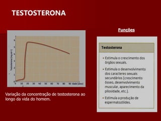 TESTOSTERONAFunçõesVariação da concentração de testosterona ao longo da vida do homem.