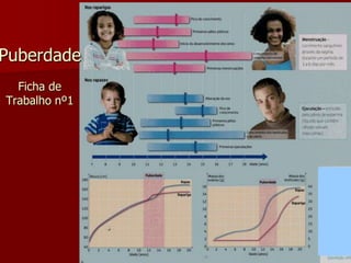 PuberdadeFicha de Trabalho nº1  
