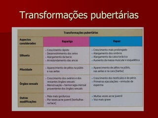 Transformações pubertárias
