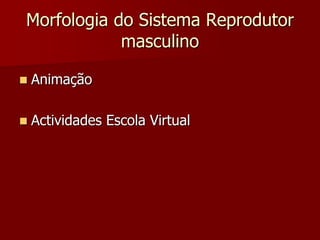Morfologia do Sistema Reprodutor masculinoAnimaçãoActividades Escola Virtual 