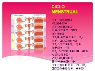 El lo
sxul
nno
uno o
lo
nstrul s
l roso
nt l
ul s
srrolln los
tos
nnos
vulos u
ovotos  s
roun un
 