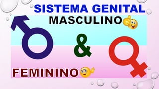 SISTEMA GENITAL
 