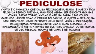 CHATO É O PARASITA QUE CAUSA PEDICULOSE PUBIANA E HABITA NOS
PELOS DA REGIÃO PUBIANA, MAS PODE AINDA SER ENCONTRADO NAS
COXAS, BAIXO TÓRAX, AXILAS E ATÉ NA BARBA E NO COURO
CABELUDO. ASSIM COMO O PIOLHO DO CABELO, O CHATO ALOJA-SE NA
BASE DOS PELOS, ONDE DEPOSITA SEUS OVOS. APÓS A INFESTAÇÃO,
OS SINTOMAS APARECEM ENTRE UMA E DUAS SEMANAS. A
TRANSMISSÃO É FEITA ATRAVÉS DO CONTATO ÍNTIMO, OU DE ROUPAS
DE USO PESSOAL, ROUPAS DE CAMA E DE TOALHAS.
 