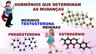 MENINAS
MENINOS
TESTOSTERONA
PROGESTERONA ESTROGÊNIO
 