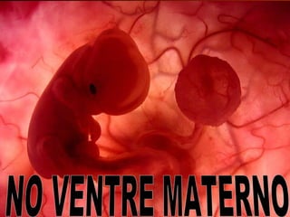 Um feto de poucas semanas encontra-seUm feto de poucas semanas encontra-se
no interior do útero de sua mãe.no interior do útero de sua mãe.
 