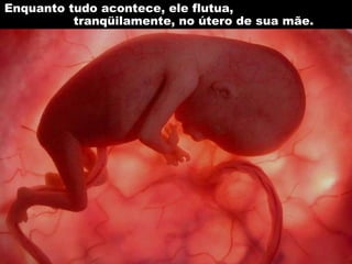 Enquanto tudo acontece, ele flutua,
tranqüilamente, no útero de sua mãe.
 