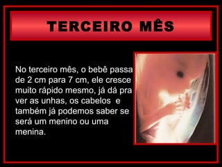 TERCEIRO MÊS
No terceiro mês, o bebê passa
de 2 cm para 7 cm, ele cresce
muito rápido mesmo, já dá pra
ver as unhas, os cabelos e
também já podemos saber se
será um menino ou uma
menina.
 