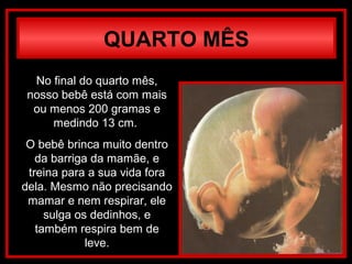 QUARTO MÊS
No final do quarto mês,
nosso bebê está com mais
ou menos 200 gramas e
medindo 13 cm.
O bebê brinca muito dentro
da barriga da mamãe, e
treina para a sua vida fora
dela. Mesmo não precisando
mamar e nem respirar, ele
sulga os dedinhos, e
também respira bem de
leve.
 