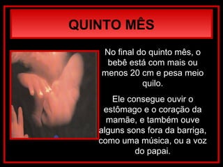 QUINTO MÊS
No final do quinto mês, o
bebê está com mais ou
menos 20 cm e pesa meio
quilo.
Ele consegue ouvir o
estômago e o coração da
mamãe, e também ouve
alguns sons fora da barriga,
como uma música, ou a voz
do papai.
 