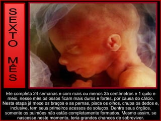 Ele completa 24 semanas e com mais ou menos 35 centímetros e 1 quilo e
meio, nesse mês os ossos ficam mais duros e fortes, por causa do cálcio.
Nesta etapa já mexe os braços e as pernas, pisca os olhos, chupa os dedos e,
inclusive, tem seus primeiros acessos de soluços. Dentre seus órgãos,
somente os pulmões não estão completamente formados. Mesmo assim, se
nascesse neste momento, teria grandes chances de sobreviver.
 