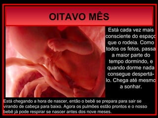 Está cada vez mais
consciente do espaço
que o rodeia. Como
todos os fetos, passa
a maior parte do
tempo dormindo, e
quando dorme nada
consegue despertá-
lo. Chega até mesmo
a sonhar.
OITAVO MÊS
Está chegando a hora de nascer, então o bebê se prepara para sair se
virando de cabeça para baixo. Agora os pulmões estão prontos e o nosso
bebê já pode respirar se nascer antes dos nove meses.
 