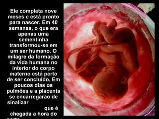 Ele completa nove
meses e está pronto
para nascer. Em 40
semanas, o que era
apenas uma
sementinha
transformou-se em
um ser humano. O
milagre da formação
da vida humana no
interior do corpo
materno está perto
de ser concluído. Em
poucos dias os
pulmões e a placenta
se encarregarão de
sinalizar
que é
chegada a hora do
 