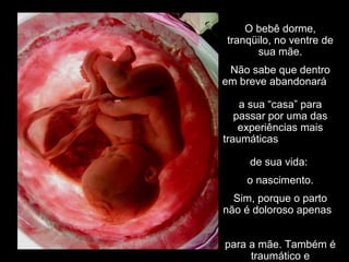 O bebê dorme,
tranqüilo, no ventre de
sua mãe.
Não sabe que dentro
em breve abandonará
a sua “casa” para
passar por uma das
experiências mais
traumáticas
de sua vida:
o nascimento.
Sim, porque o parto
não é doloroso apenas
para a mãe. Também é
traumático e
 