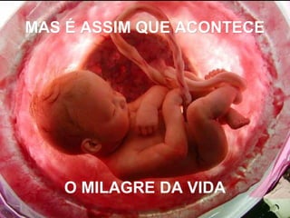MAS É ASSIM QUE ACONTECEMAS É ASSIM QUE ACONTECE
O MILAGRE DA VIDAO MILAGRE DA VIDA
 