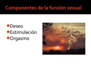 Deseo
Estimulación
Orgasmo
 